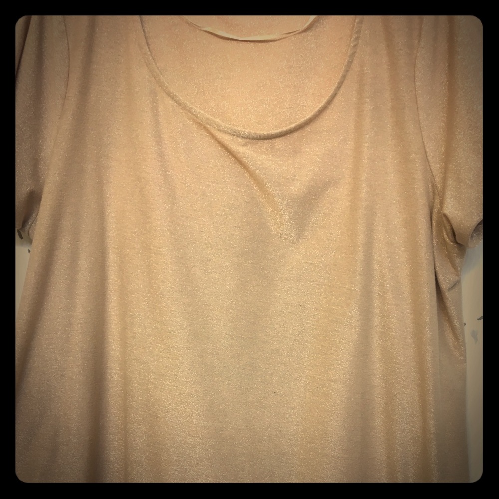 Comfortable & stylish sparkling blouse